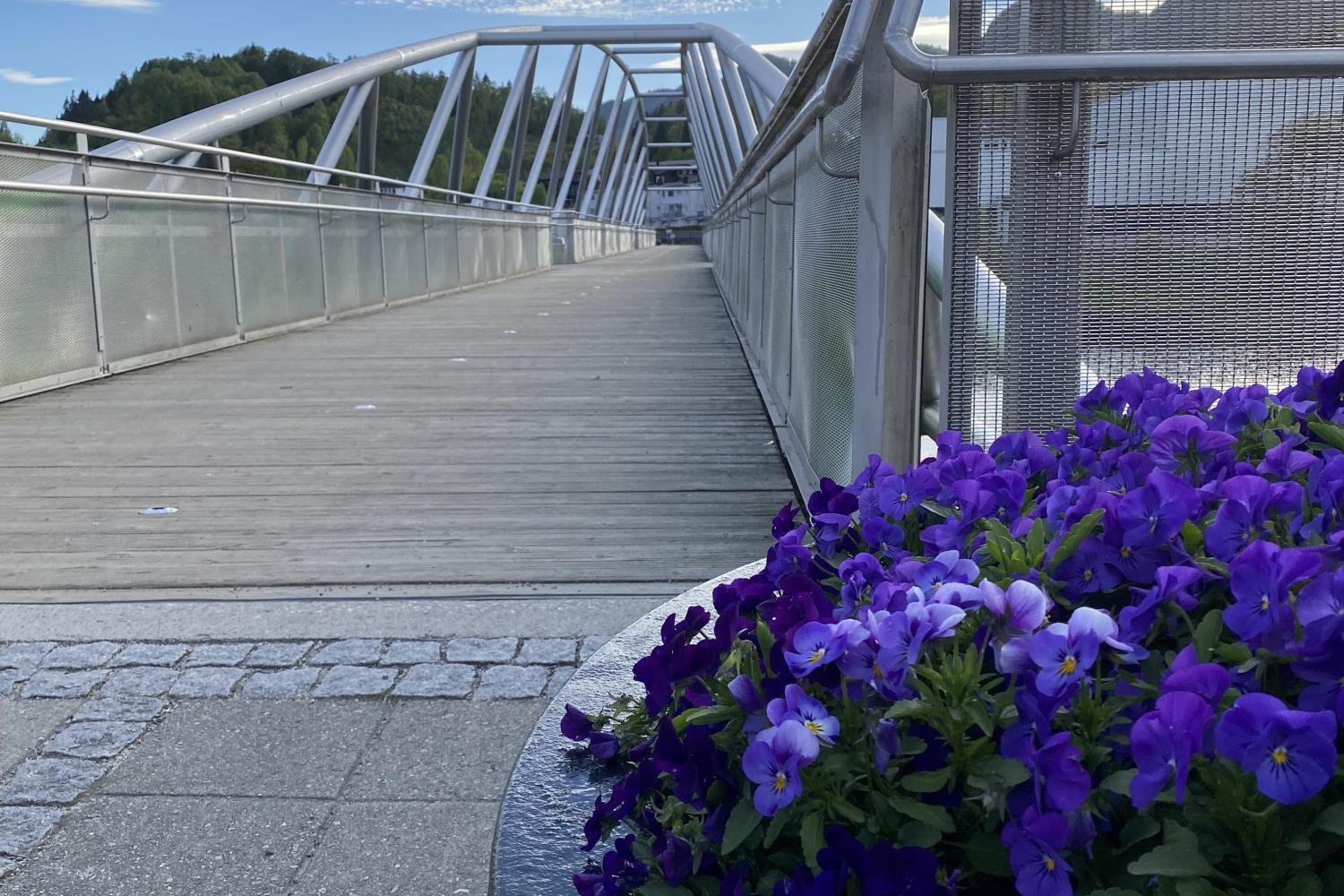 Fedabrua med blomsterkrukke